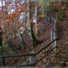 IMG_7567